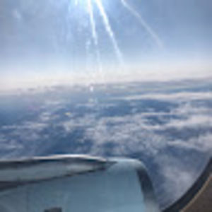 Meet your Posher, Alicia